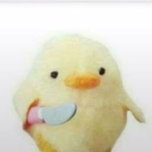 Meet your Posher, Roman angulo regina